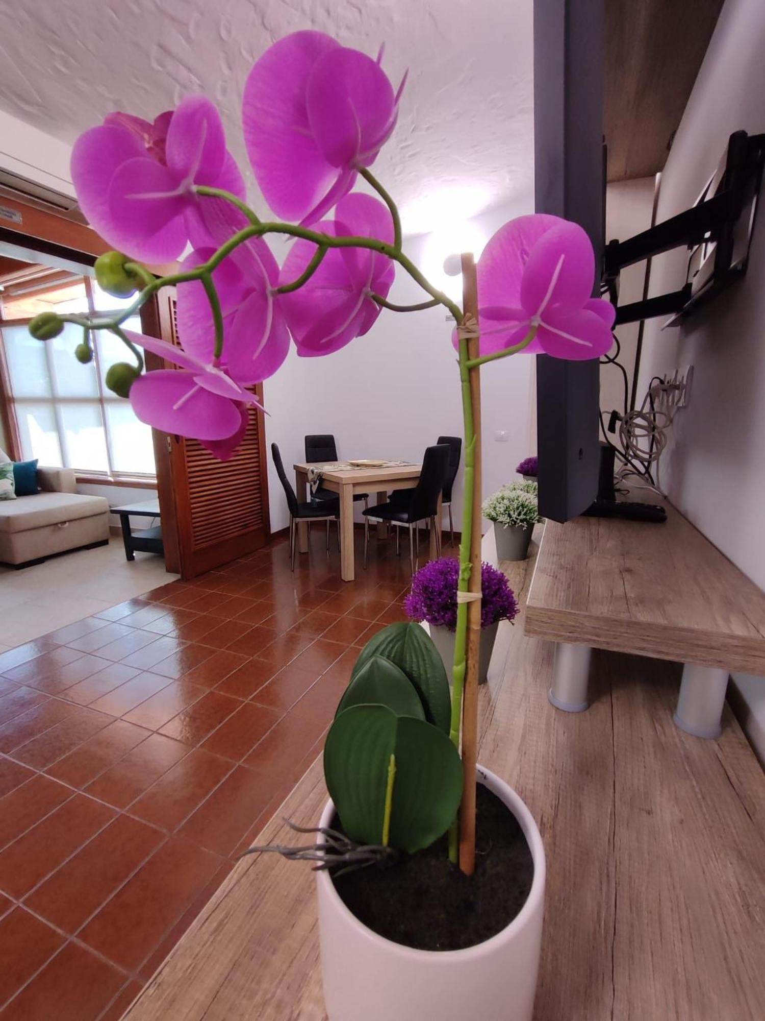 Tartanas Two Bedroom Holiday home Playa del Ingles (Gran Canaria)